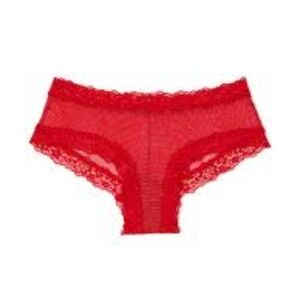 VICTORIA'S SECRET RED MESH & DOTS CHEEKY PANTY